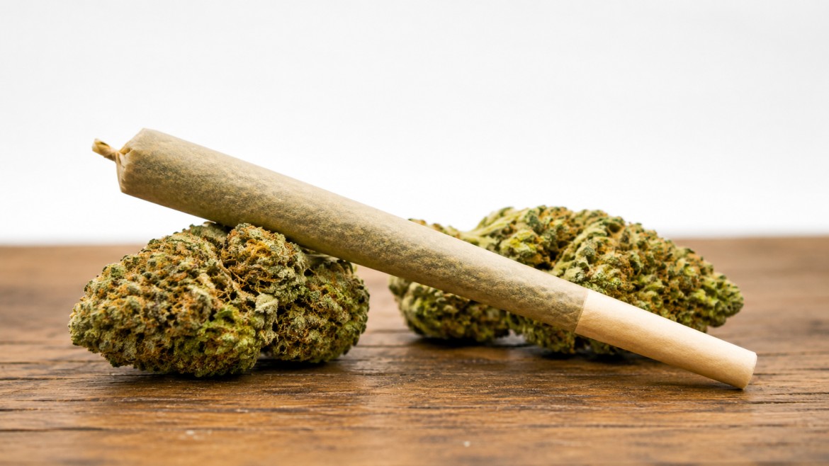 A neatly rolled joint rests on two dense Gumbo strain buds with visible orange hairs, placed on a wooden surface
