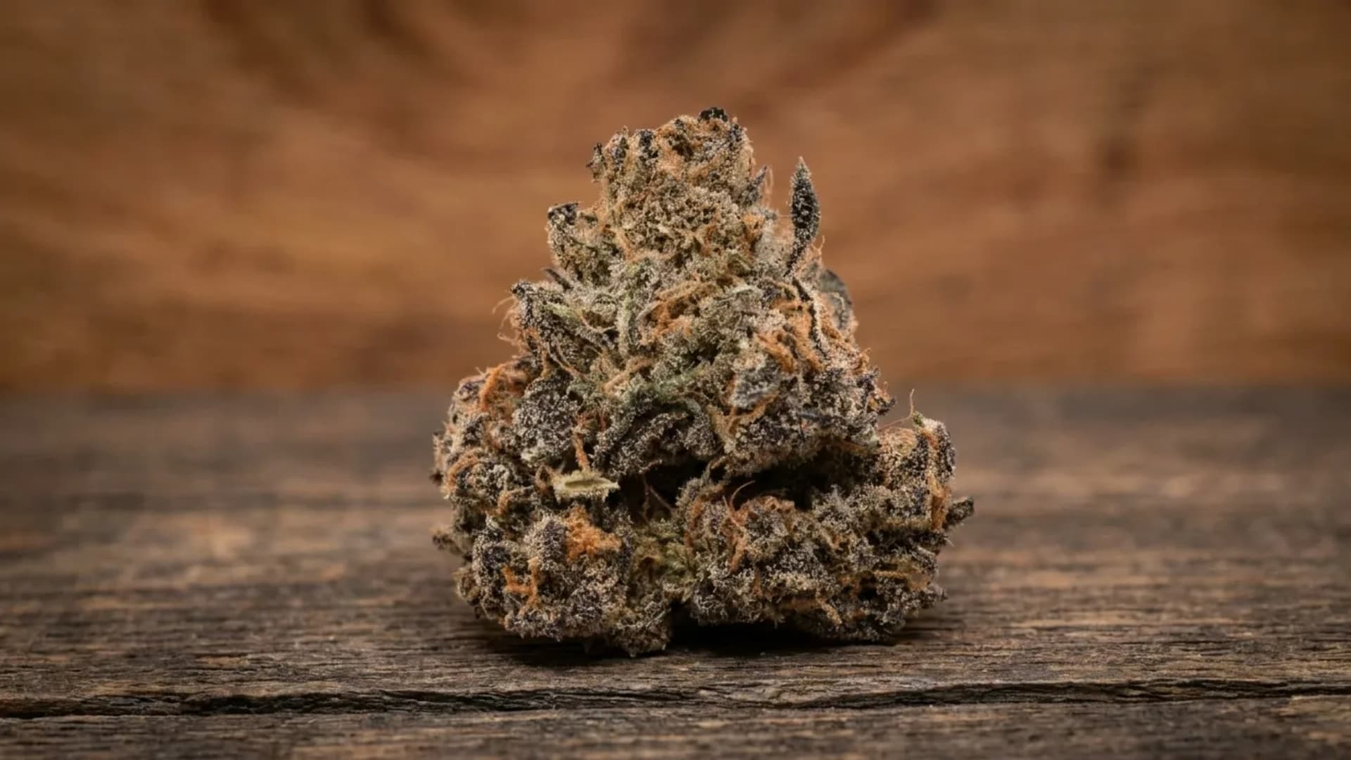 close-up of Cherry Pie cannabis bud with purple hues, orange hairs, and frosty trichomes on rustic wooden surface background