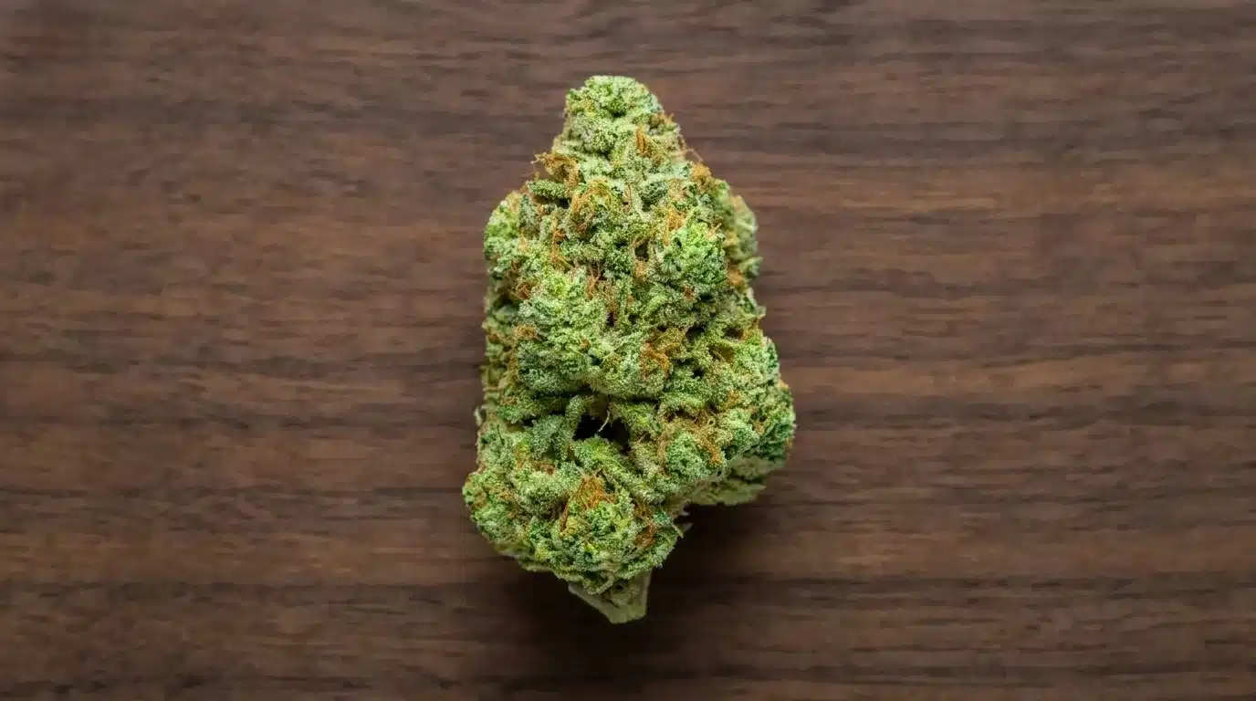 close-up of zkittlez cannabis bud on wooden surface showing dense green structure, orange pistils, and frosty trichomes