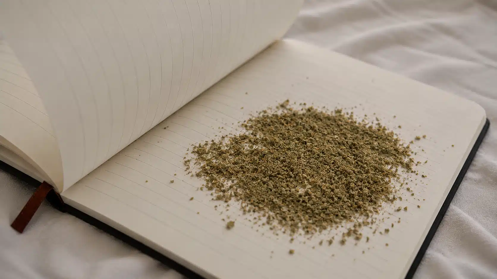 crushed dry cannabis leaves scattered across lined notebook paper, with a page turning above in soft natural light