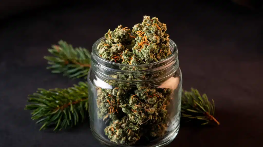 feature image skywalker og buds in a glass jar with frosty trichomes on a dark table
