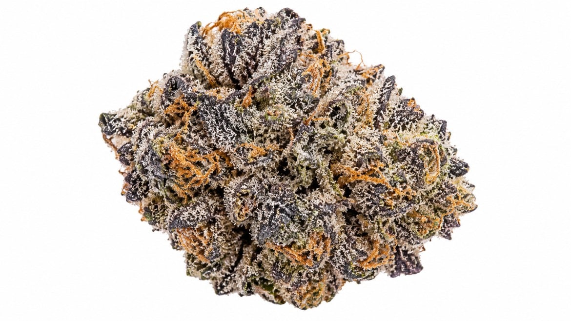frosty gumbo strain cannabis bud macro with purple tones, orange pistils, and white trichomes