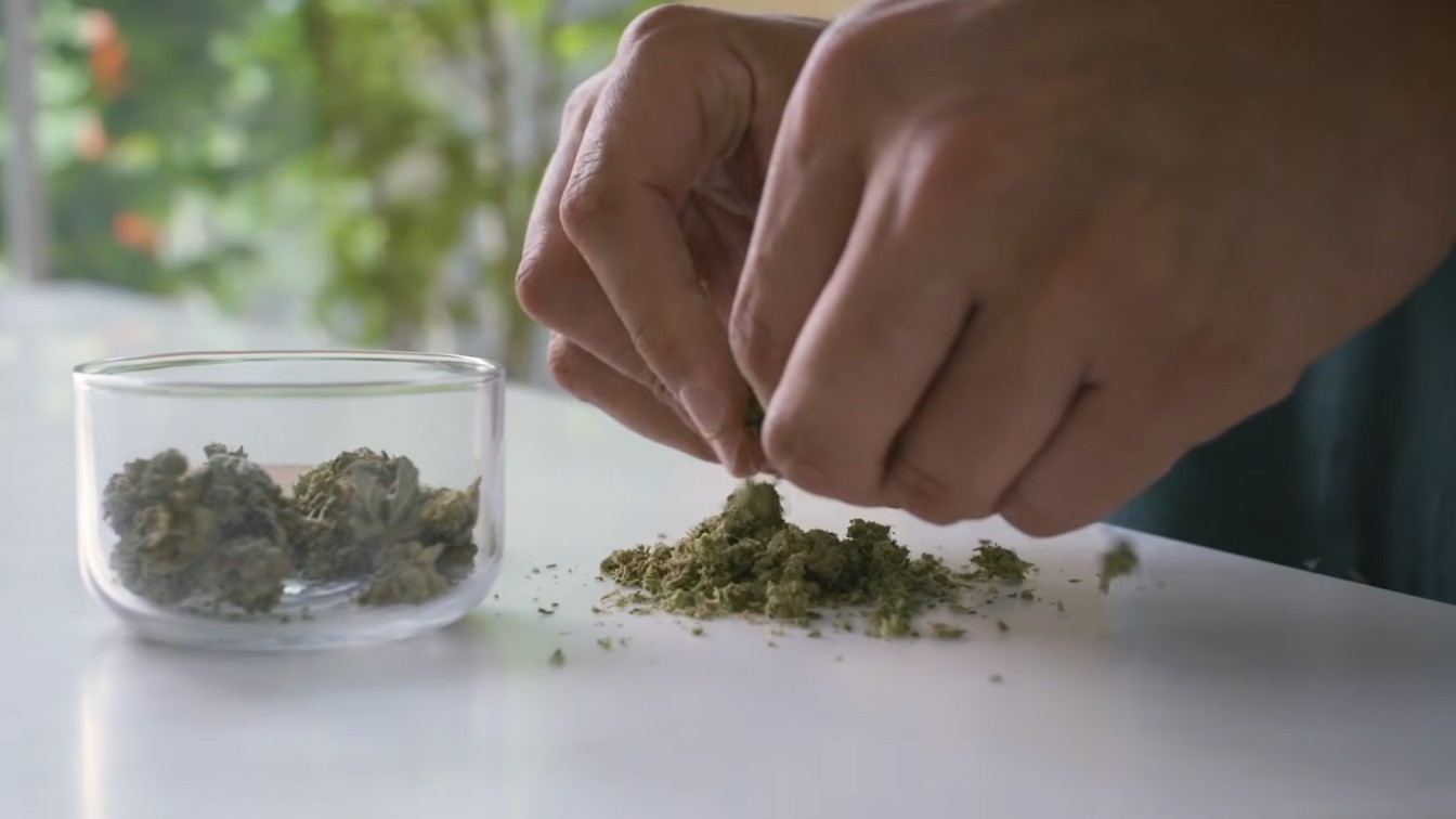 decarb weed in oven prep with hands breaking dried buds beside a glass bowl on a bright kitchen counter