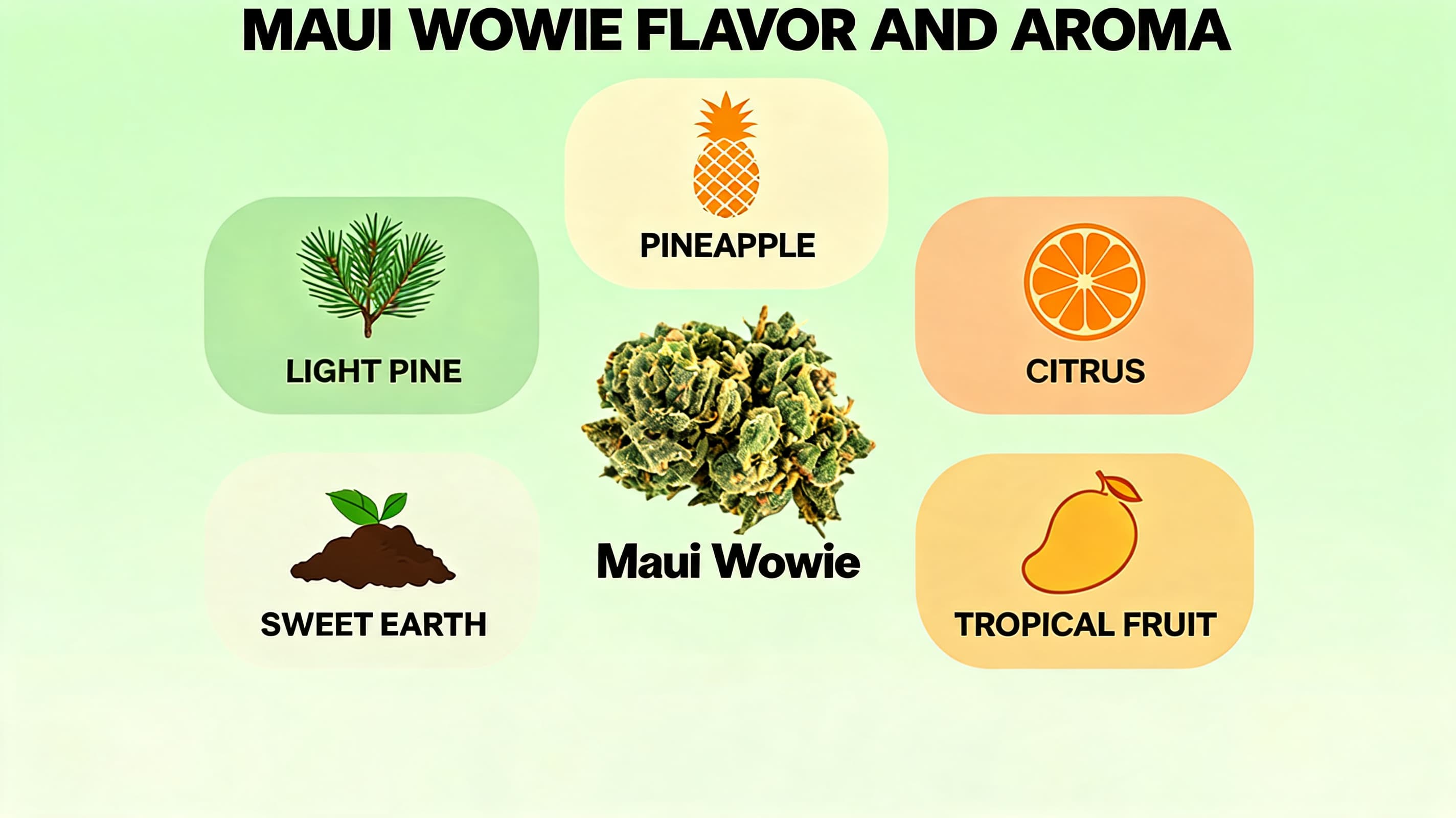 maui wowie terpene cards showing myrcene pinene and caryophyllene flavor notes