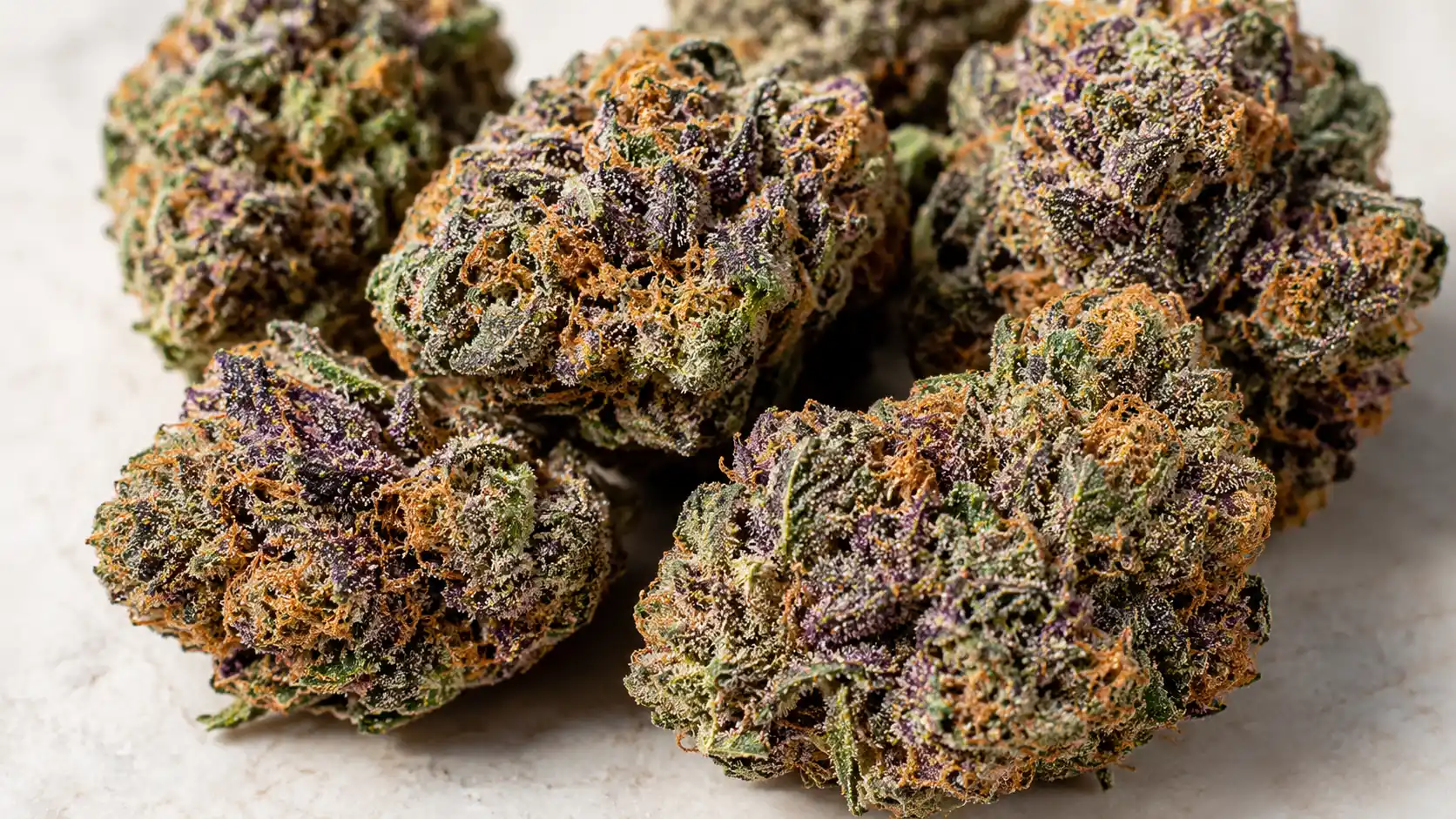 several cannabis buds on a neutral surface, showing deep green, purple tones, orange pistils, and frosty trichomes