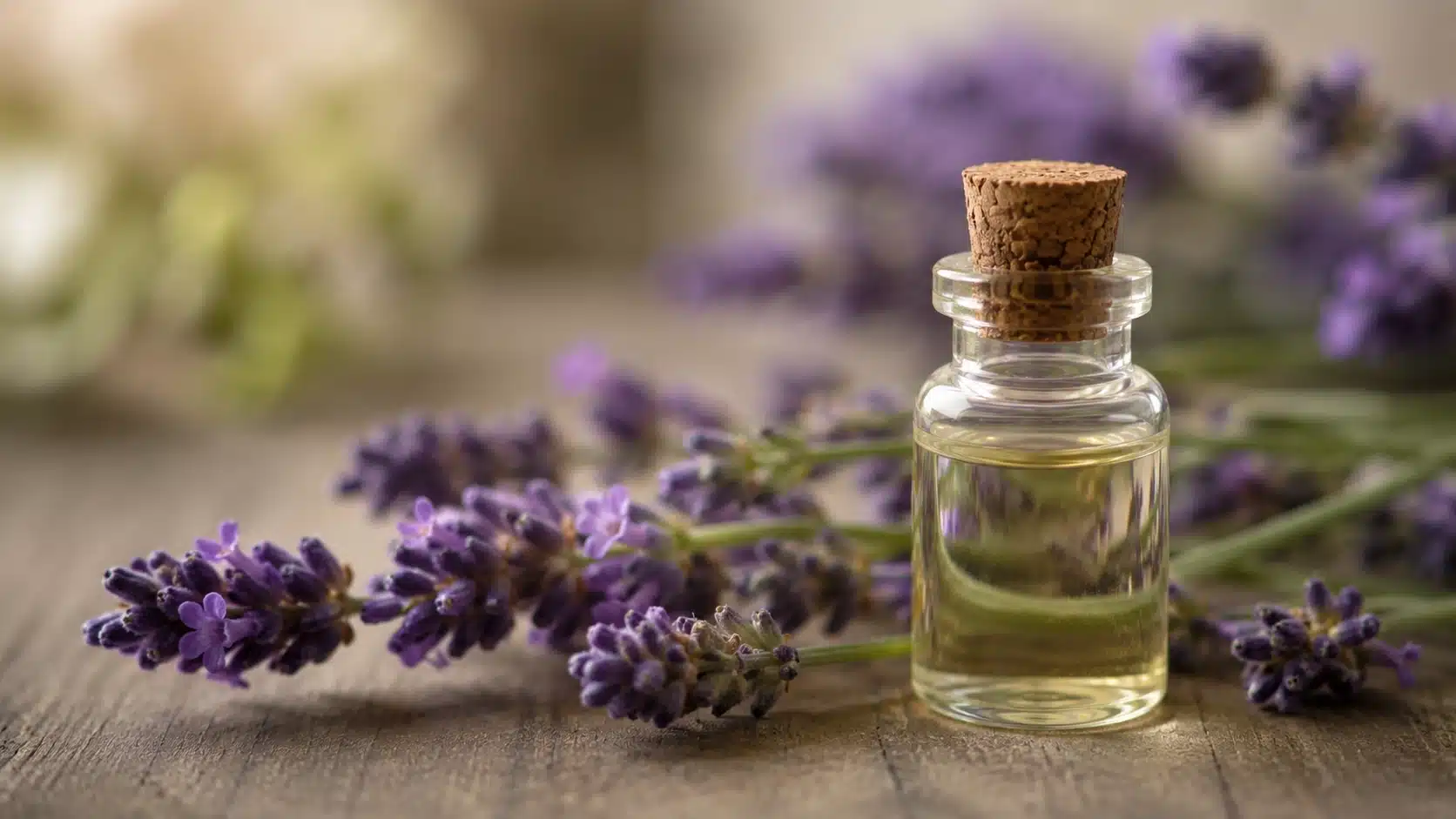 best terpenes for anxiety with lavender oil bottle
