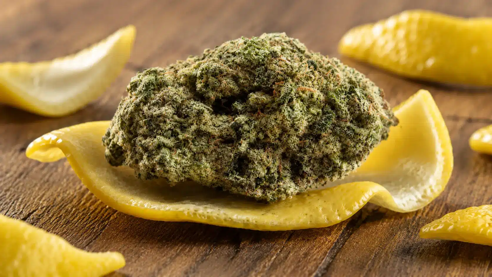 cannabis bud rests on curled lemon peel on rustic wooden table, with extra lemon peels softly blurred around it nearby