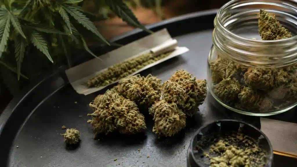 cannabis buds in a jar with rolling papers and plant leaves, showing strong sativa strains in an editorial style