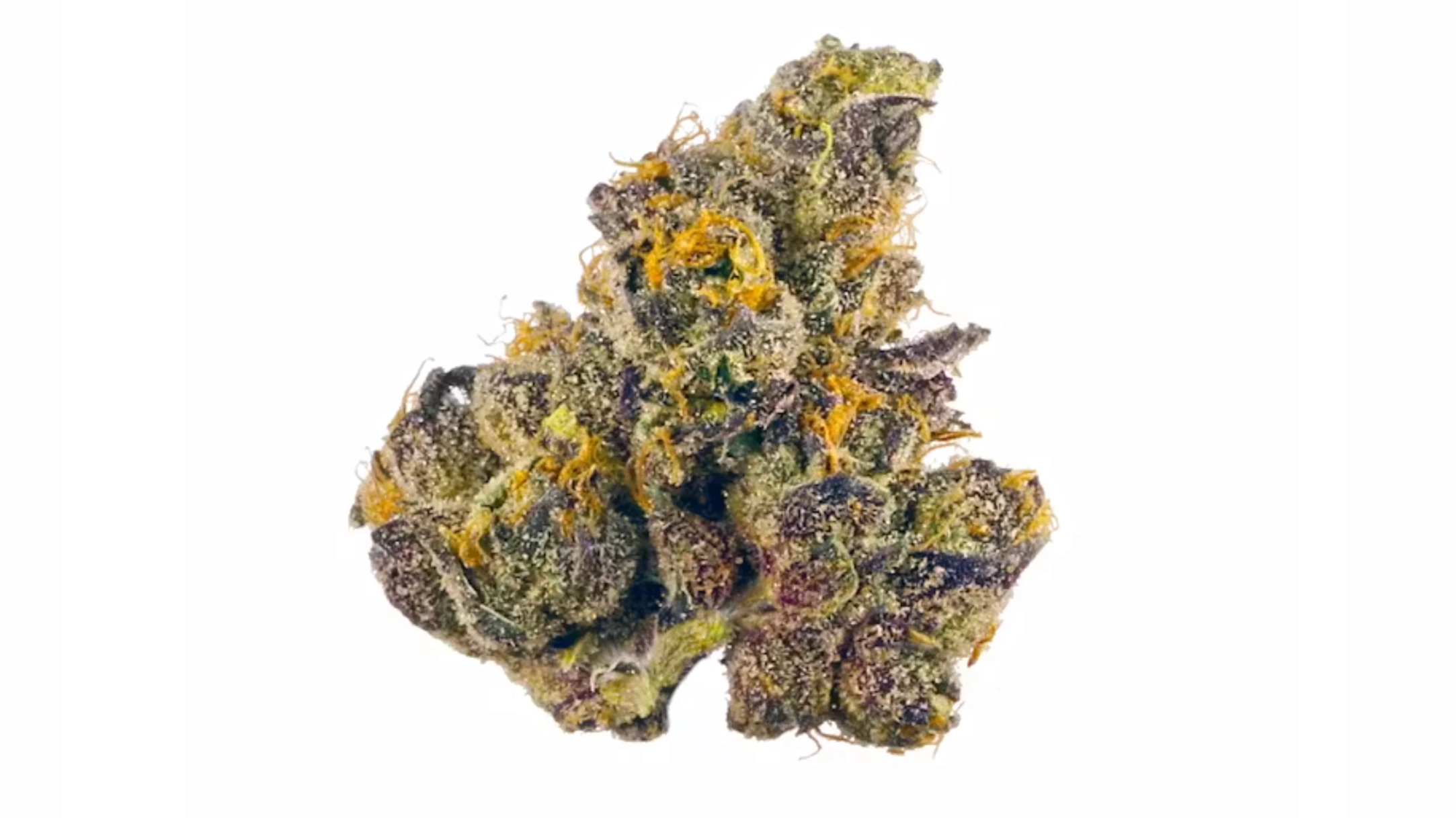 close-up cannabis bud with frosty trichomes, orange pistils, purple-green color, and dense structure on white background