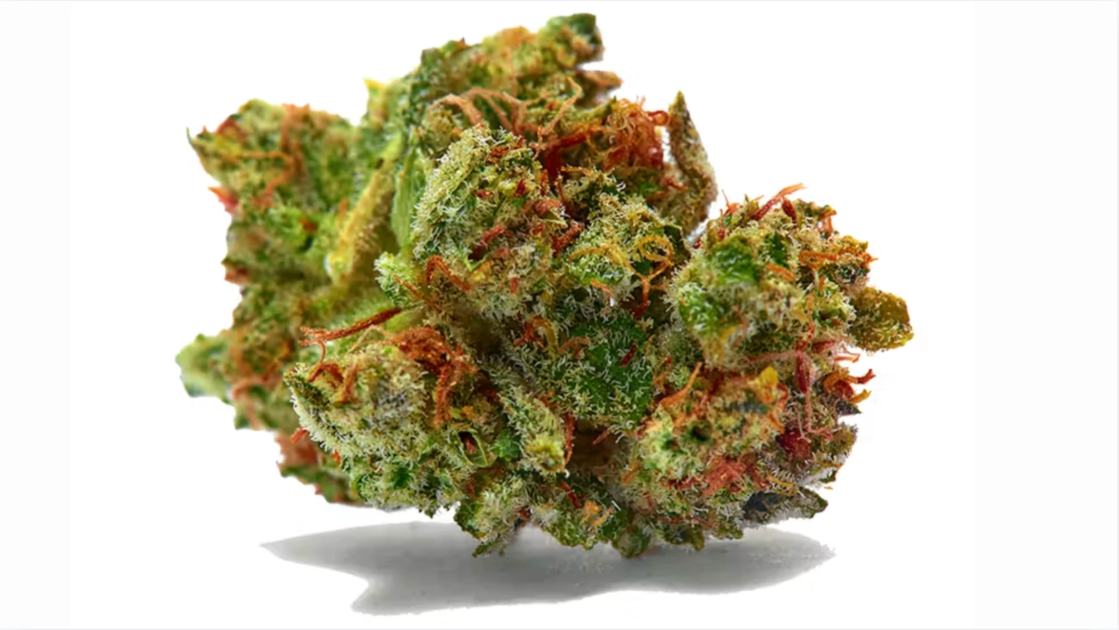 close-up cannabis bud with orange pistils, frosty trichomes, green leaves, and dense structure on white background