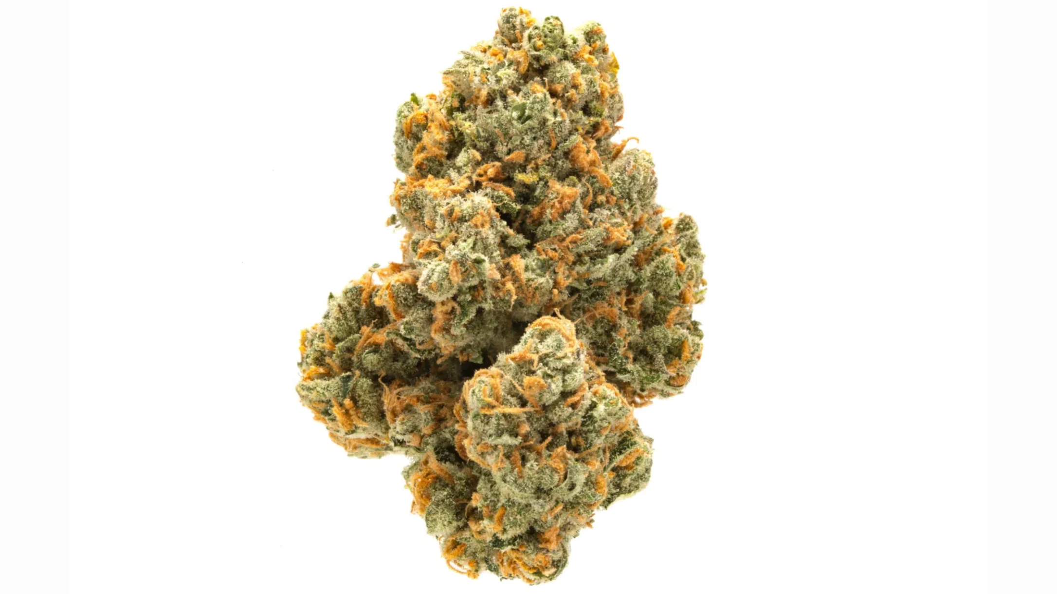 close-up cannabis flower bud with frosty trichomes, orange pistils, and dense green structure on a white background