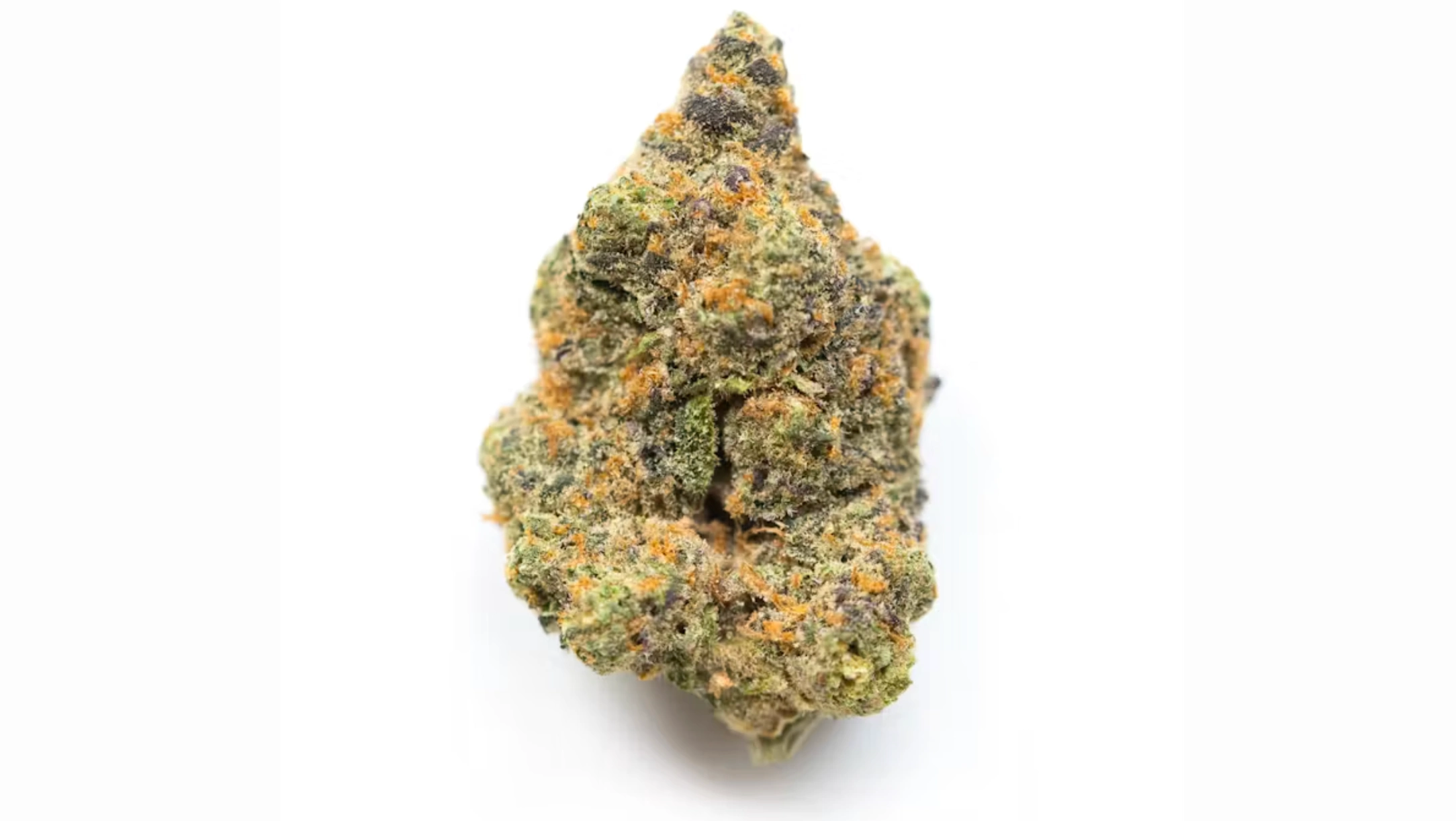 close-up cannabis flower bud with frosty trichomes, orange pistils, green-purple tones, and dense structure