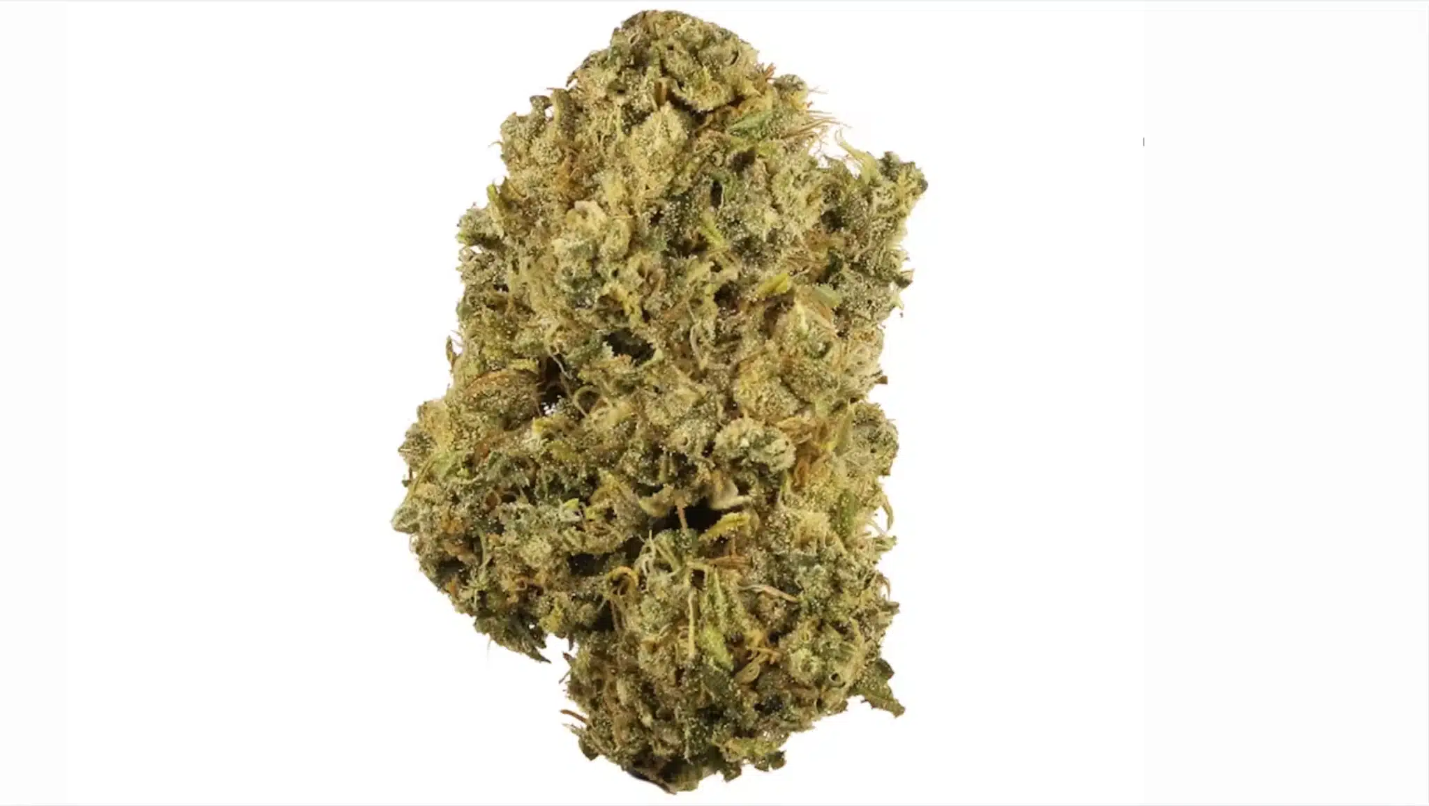 close-up cannabis flower bud with green tones, orange pistils, frosty trichomes, and dense structure on white background