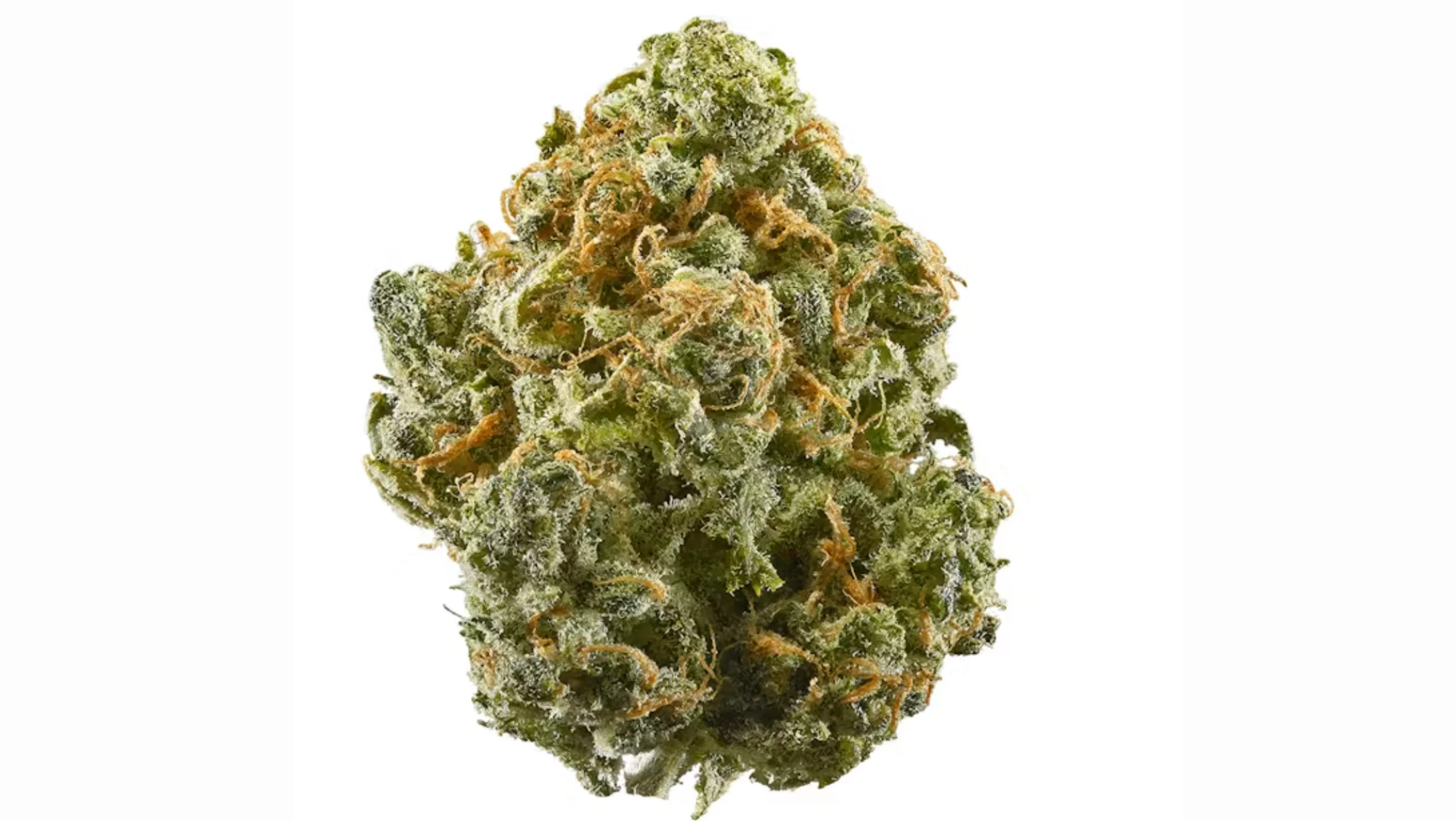 close-up green cannabis flower bud with frosty trichomes, orange pistils, and dense texture on a white background