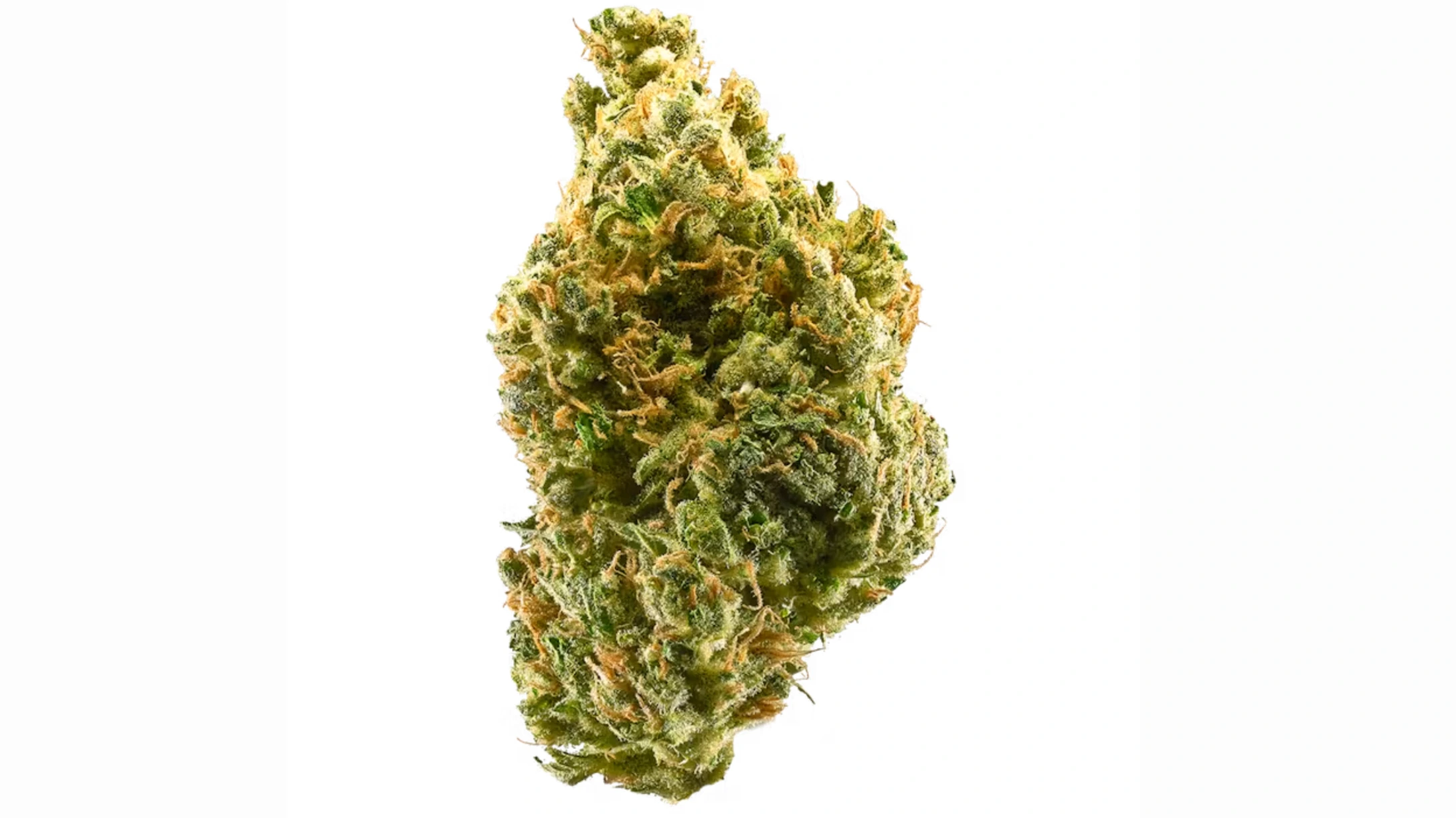 close-up green cannabis flower bud with orange pistils, frosty trichomes, and dense structure on clean white background