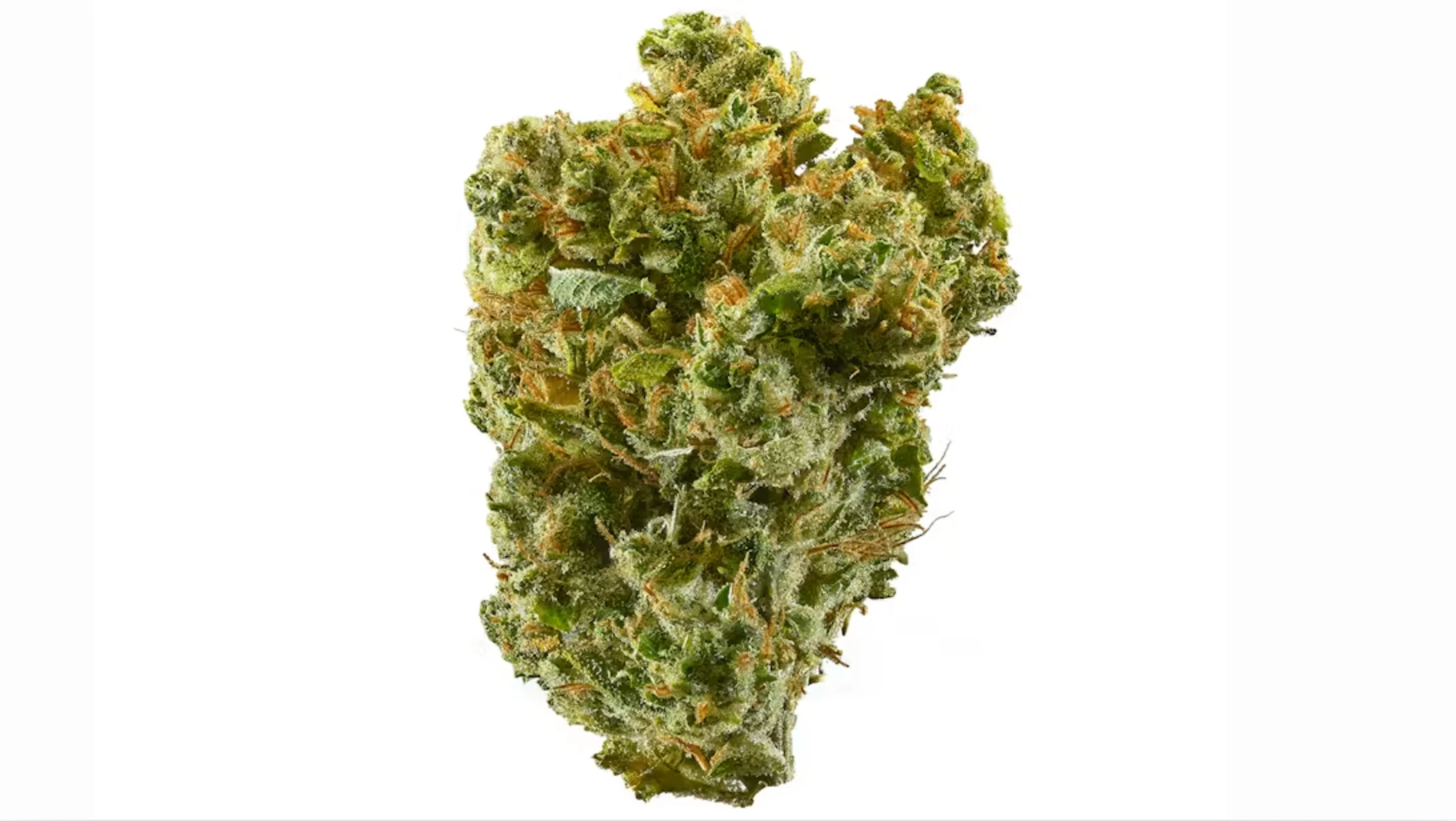 close-up green cannabis flower bud with orange pistils, frosty trichomes, and dense texture on a clean white background