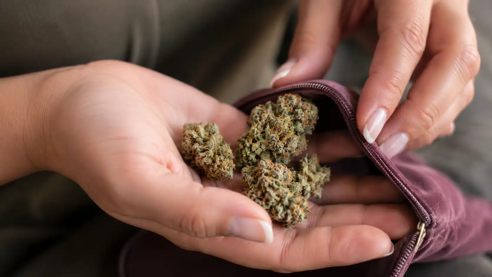 close-up of hands placing small cannabis buds into a mauve zippered pouch, with realistic texture and shallow background