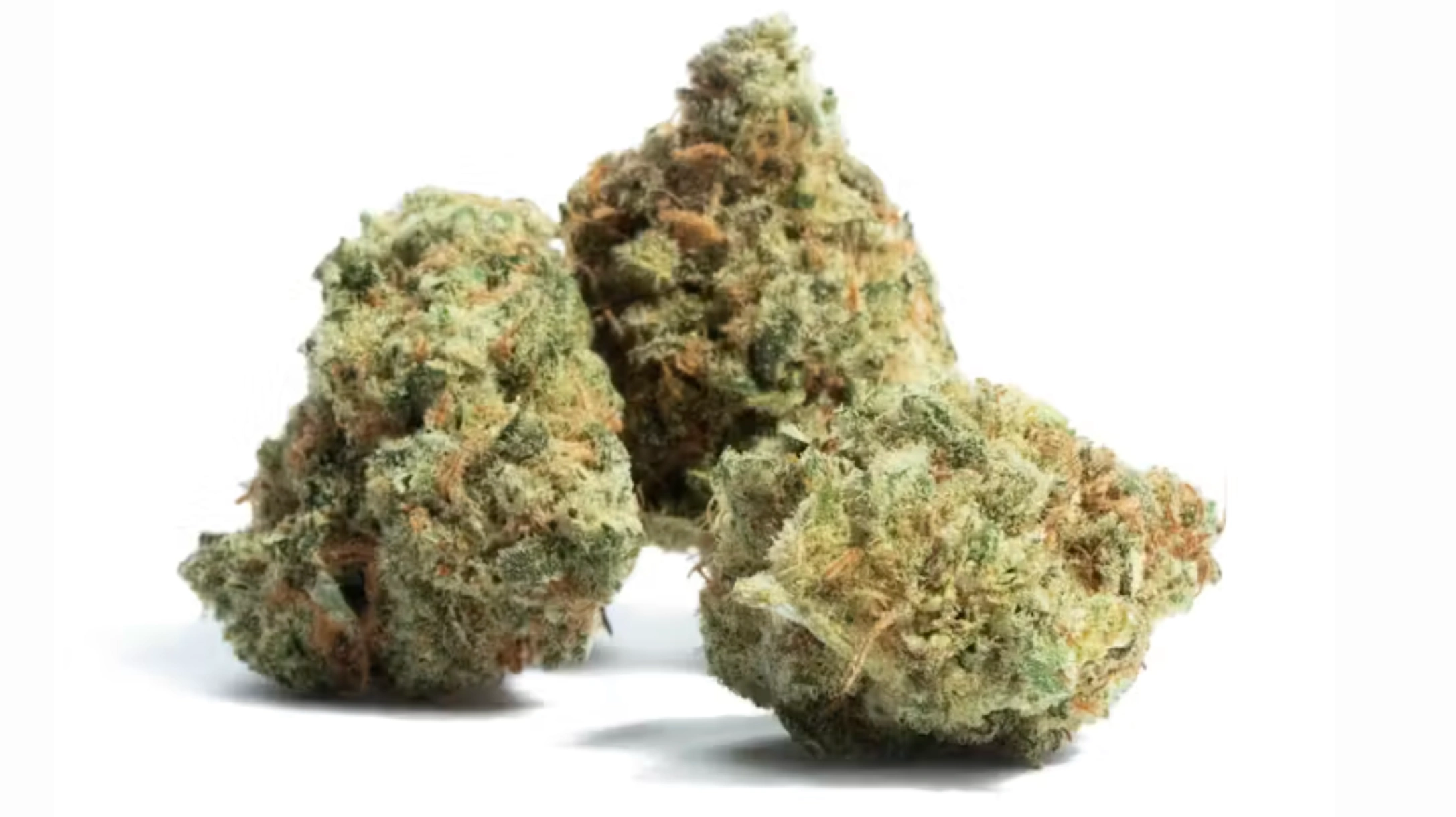 three frosty cannabis buds with green tones, orange pistils, and dense sativa-style texture on a clean white background
