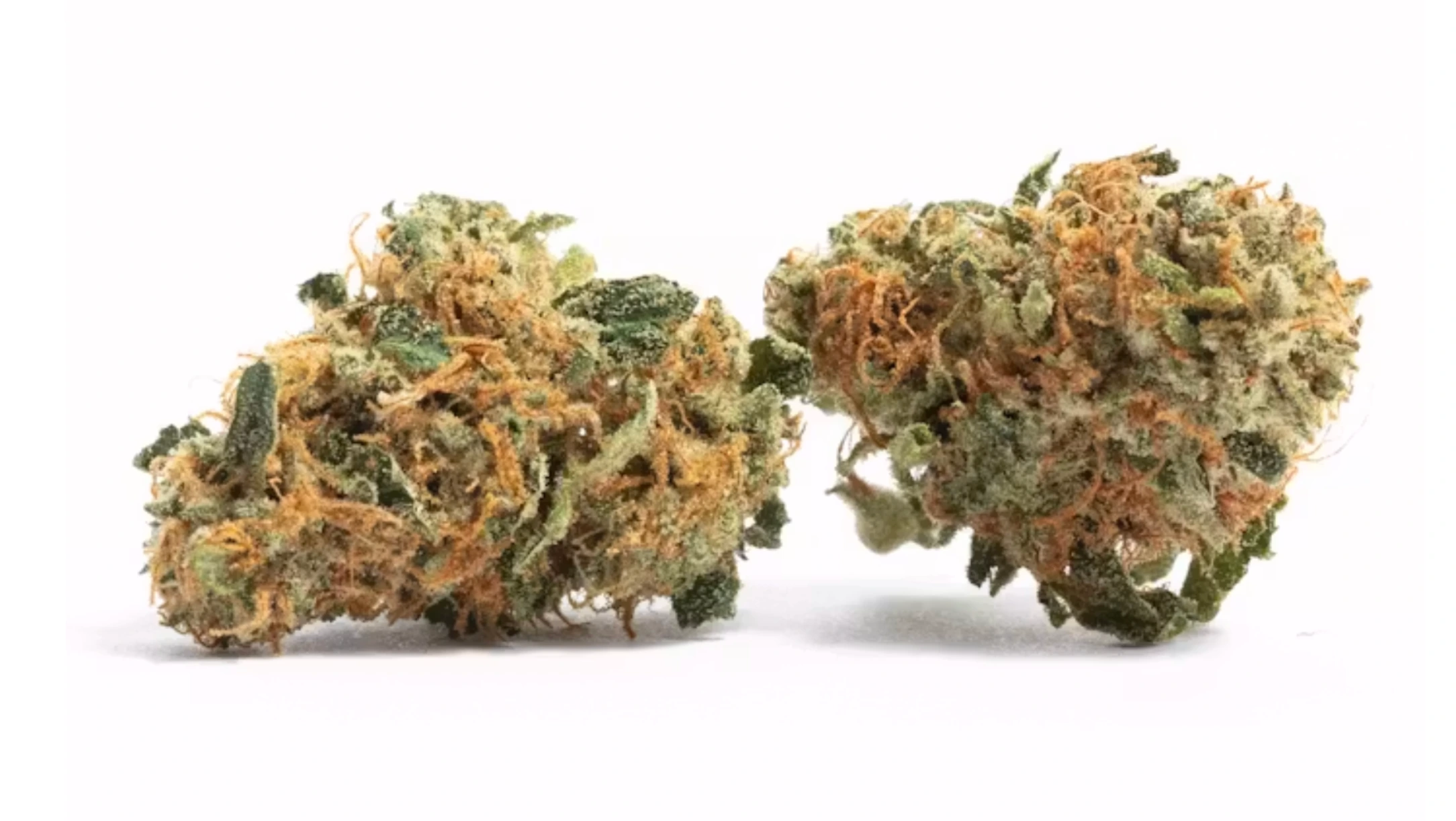 two cannabis flower buds with orange pistils, frosty trichomes, and dense green structure on a clean white background