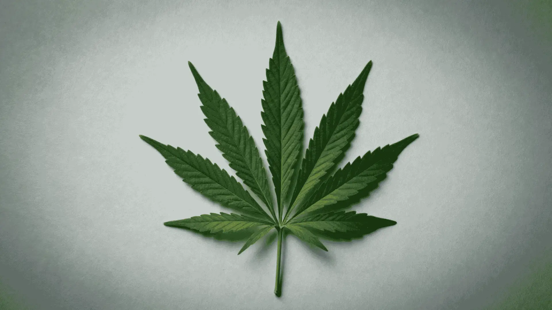 green cannabis leaf displayed on a plain light background for secondhand smoke myth discussion