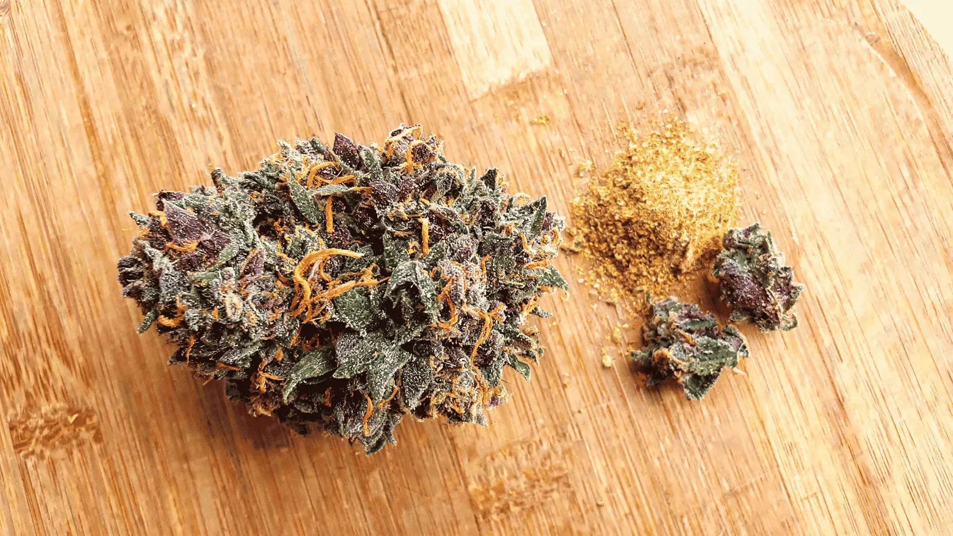 dense purple cannabis bud with orange hairs and trichomes