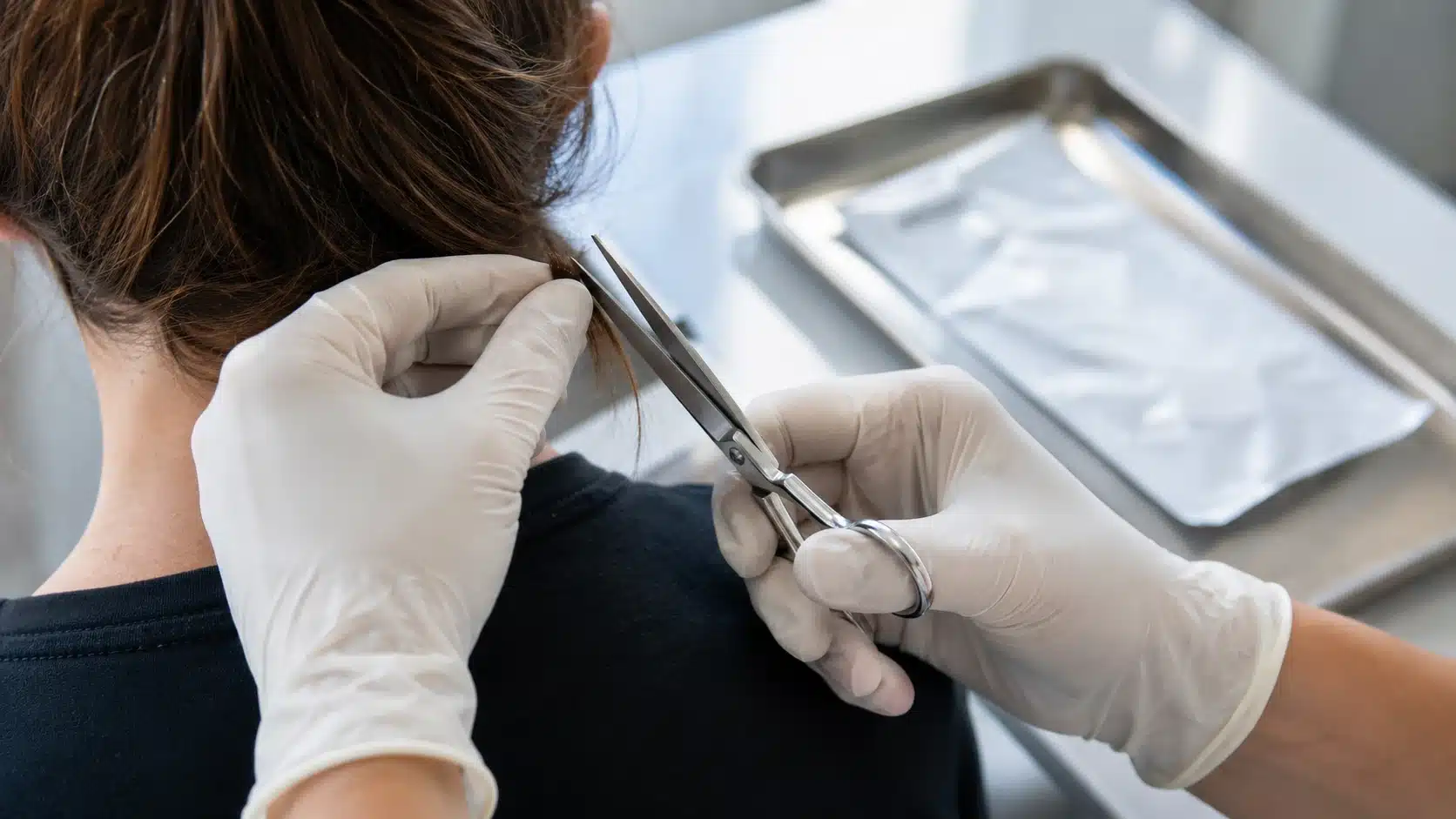 healthcare professional collecting a hair sample for a workplace hair follicle drug test