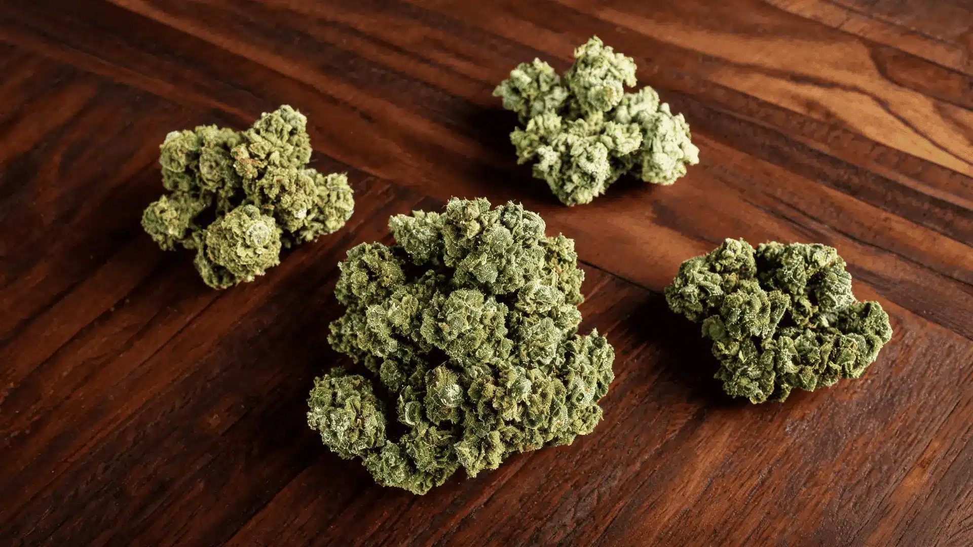 several cannabis bud groupings arranged for a visual strain comparison